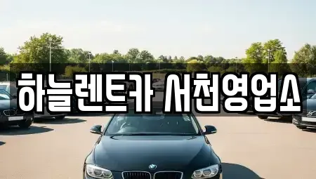 충남 서천군 마서면 렌트카,단기렌트카,장기렌트카,중고차,중고차매매,중고차매입