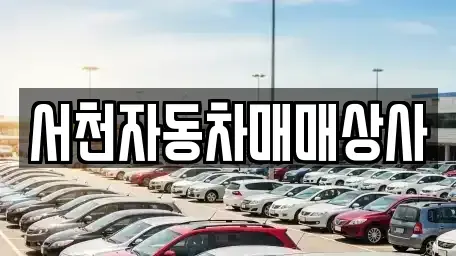 충남 서천군 마서면 중고차 전문 서천자동차매매상사
