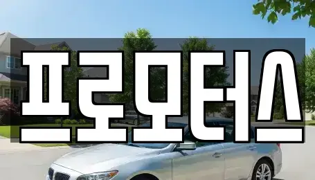 충남 서천군 마서면 중고차 전문 프로모터스