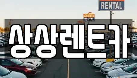 충남 서천군 서천읍 렌트카 전문 상상렌트카