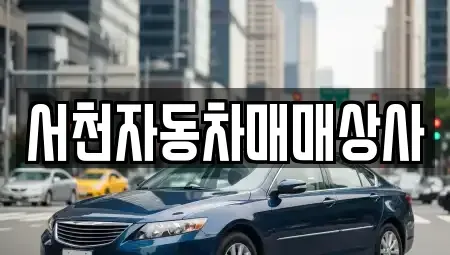충남 서천군 서천읍 중고차매매 전문 서천자동차매매상사