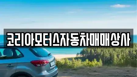 충남 아산시 송악면 중고차매매,단기렌트카,중고차매입,장기렌트카,중고차,렌트카