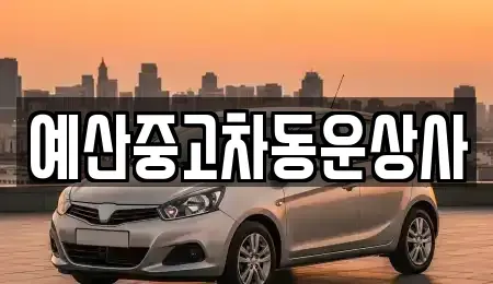 충남 예산군 중고차매매,단기렌트카,중고차매입,장기렌트카,중고차,렌트카