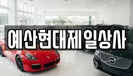 충남 예산군 중고차매매 전문 예산현대제일상사