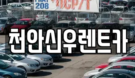 충남 천안시 서북구 단기렌트카,중고차매입,중고차매매,중고차,렌트카,장기렌트카