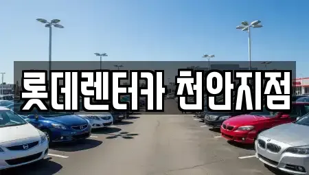충남 천안시 서북구 렌트카 전문 롯데렌터카 천안지점