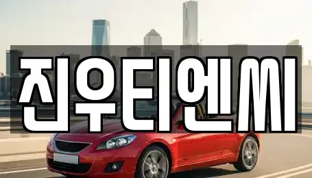 충남 천안시 서북구 중고차매매 전문 진우티엔씨