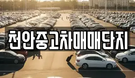 충남 천안시 서북구 중고차매매 전문 천안중고차매매단지