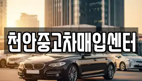 충남 천안시 서북구 중고차매입 전문 천안중고차매입센터