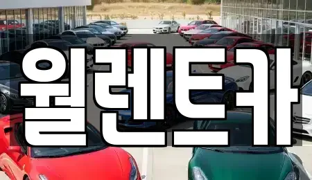 충남 천안시 서북구 직산읍 렌트카 전문 월렌트카
