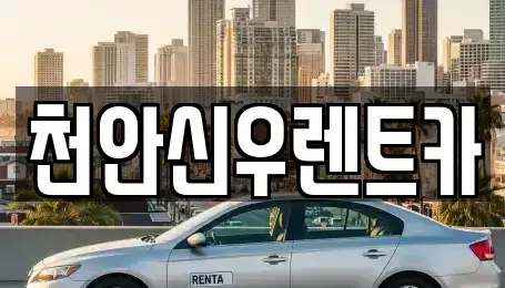 충남 천안시 서북구 직산읍 렌트카 전문 천안신우렌트카