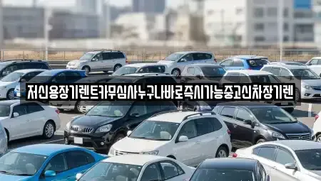충남 천안시 서북구 직산읍 장기렌트카 전문 저신용장기렌트카무심사누구나바로즉시가능중고신차장기렌