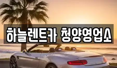 충남 청양군 비봉면 렌트카 전문 하늘렌트카 청양영업소