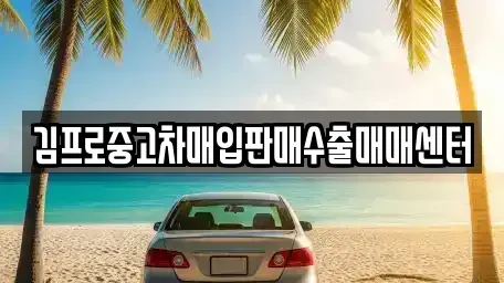 충남 청양군 비봉면 중고차매입 전문 김프로중고차매입판매수출매매센터
