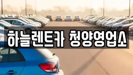 충남 청양군 청양읍 렌트카 전문 하늘렌트카 청양영업소