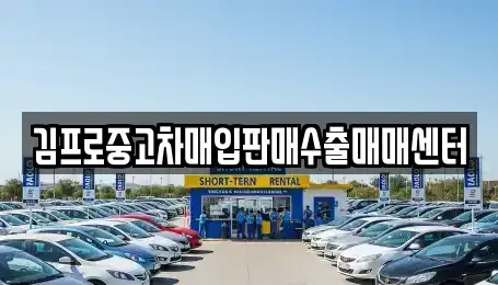 충남 청양군 청양읍 중고차매매 전문 김프로중고차매입판매수출매매센터