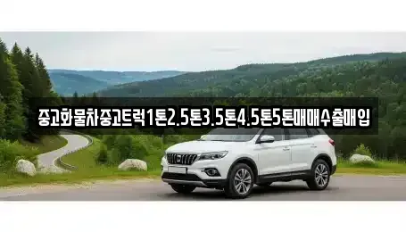충남 홍성군 서부면 중고차매입 전문 중고화물차중고트럭1톤2.5톤3.5톤4.5톤5톤매매수출매입