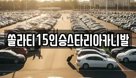 충북 제천시 덕산면 렌트카 전문 쏠라티15인승스타리아카니발