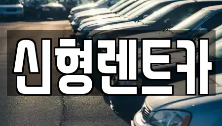충북 제천시 의림동 렌트카 전문 신형렌트카