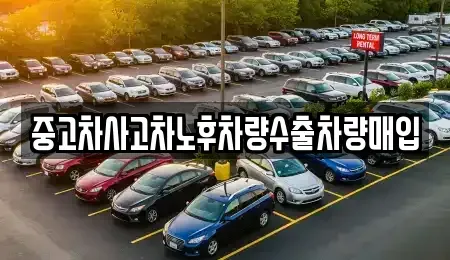 충북 제천시 의림동 중고차 전문 중고차사고차노후차량수출차량매입