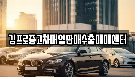충북 제천시 의림동 중고차매입 전문 김프로중고차매입판매수출매매센터