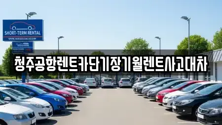 충북 청주시 단기렌트카 전문 청주공항렌트카단기장기월렌트사고대차