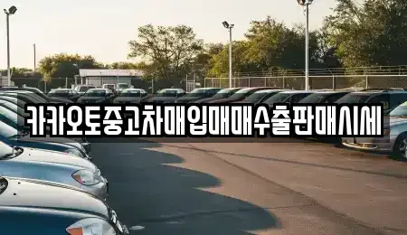 충북 청주시 중고차매입 전문 카카오토중고차매입매매수출판매시세