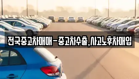 충북 청주시 흥덕구 봉명동 중고차매입 전문 전국중고차매매-중고차수출,사고노후차매입