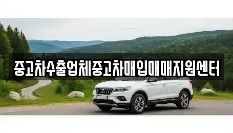 충북 청주시 흥덕구 봉명동 중고차매입 전문 중고차수출업체중고차매입매매지원센터