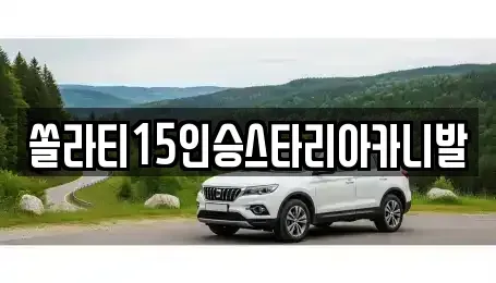 충북 충주시 달천동 렌트카 전문 쏠라티15인승스타리아카니발