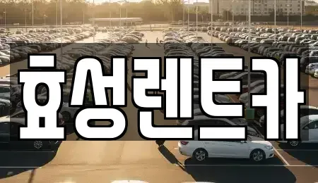 충북 충주시 달천동 렌트카 전문 효성렌트카