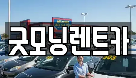 충북 충주시 문화동 렌트카 전문 굿모닝렌트카