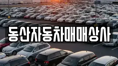 충북 충주시 문화동 중고차 전문 동산자동차매매상사