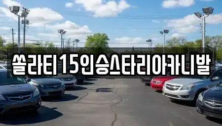 충북 충주시 성남동 렌트카 전문 쏠라티15인승스타리아카니발