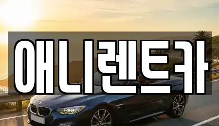 충북 충주시 성남동 렌트카 전문 애니렌트카