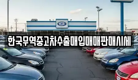 충북 충주시 성남동 중고차매매 전문 한국무역중고차수출매입매매판매시세