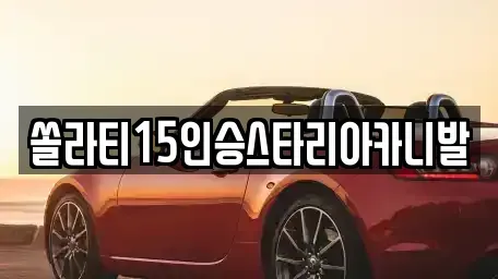 충북 충주시 안림동 렌트카 전문 쏠라티15인승스타리아카니발