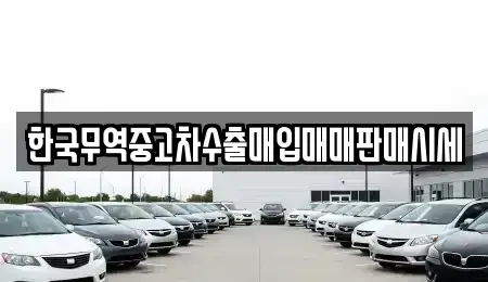 충북 충주시 안림동 중고차 전문 한국무역중고차수출매입매매판매시세