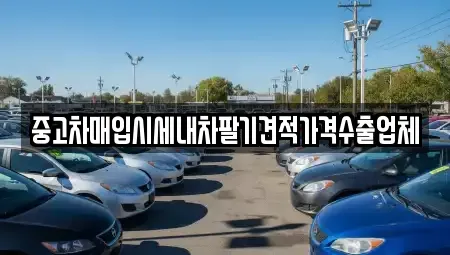 충북 충주시 안림동 중고차매입 전문 중고차매입시세내차팔기견적가격수출업체