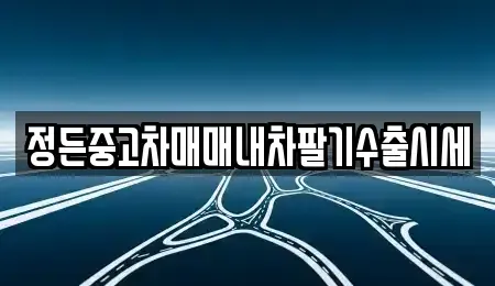 충북 충주시 종민동 중고차매매 전문 정든중고차매매내차팔기수출시세