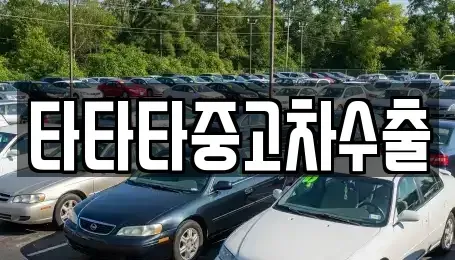 충북 충주시 종민동 중고차매매 전문 타타타중고차수출
