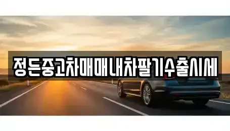 충북 충주시 풍동 중고차 전문 정든중고차매매내차팔기수출시세