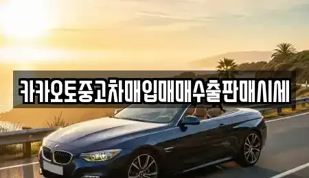 충청남도 공주시 중학동 단기렌트카,중고차매입,중고차매매,중고차,렌트카,장기렌트카