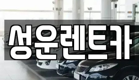 충청남도 금산군 렌트카 전문 성운렌트카