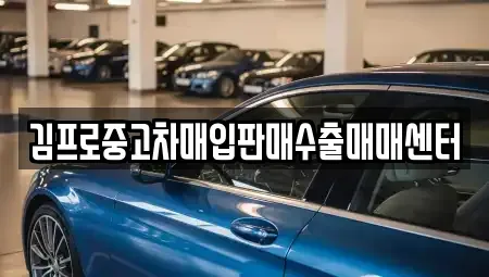 충청남도 금산군 중고차매입 전문 김프로중고차매입판매수출매매센터
