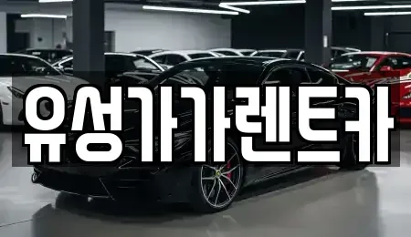 충청남도 논산시 연산면 렌트카 전문 유성가가렌트카