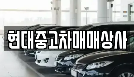 충청남도 논산시 채운면 중고차 전문 현대중고차매매상사