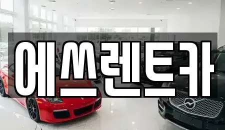 충청남도 보령시 성주면 렌트카 전문 에쓰렌트카