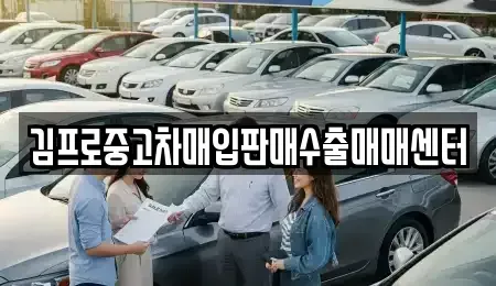 충청남도 보령시 성주면 중고차매입 전문 김프로중고차매입판매수출매매센터