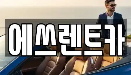 충청남도 보령시 화산동 렌트카 전문 에쓰렌트카